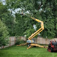 Best Tree Health Inspection  in Homestead Meadows South, TX