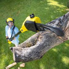 Mulching Services in Homestead Meadows South, TX