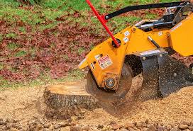 Best Soil Testing and Treatment  in Homestead Meadows South, TX